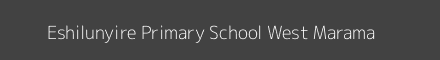 Eshilunyire Primary School West Marama Image