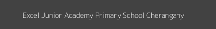 Excel Junior Academy Primary School Cherangany Image