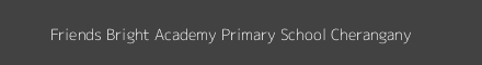 Friends Bright Academy Primary School Cherangany Image