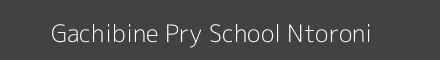 Gachibine Pry School Ntoroni Image