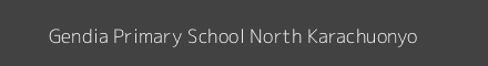 Gendia Primary School North Karachuonyo Image