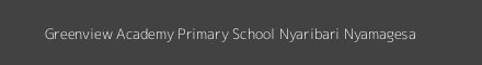 Greenview Academy Primary School Nyaribari Nyamagesa Image