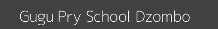 Gugu Pry School Dzombo Image