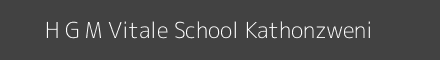 H G M Vitale School Kathonzweni Image