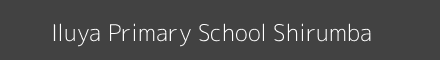 Iluya Primary School Shirumba Image