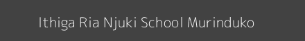 Ithiga Ria Njuki School Murinduko Image