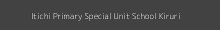 Itichi Primary Special Unit School Kiruri Image