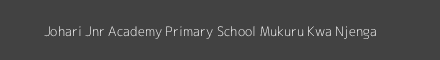 Johari Jnr Academy Primary School Mukuru Kwa Njenga Image