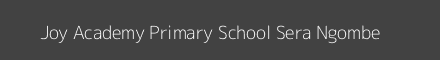 Joy Academy Primary School Sera Ngombe Image