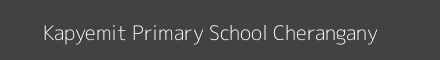Kapyemit Primary School Cherangany Image