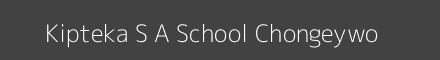 Kipteka S A School Chongeywo Image