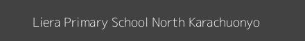 Liera Primary School North Karachuonyo Image