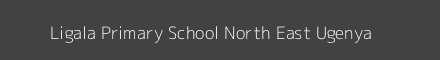 Ligala Primary School North East Ugenya Image