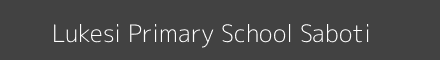 Lukesi Primary School Saboti Image