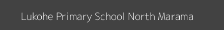 Lukohe Primary School North Marama Image