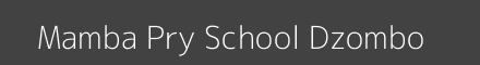 Mamba Pry School Dzombo Image