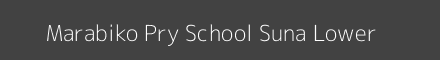 Marabiko Pry School Suna Lower Image
