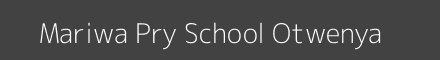 Mariwa Pry School Otwenya Image