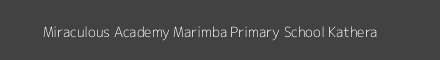 Miraculous Academy Marimba Primary School Kathera Image