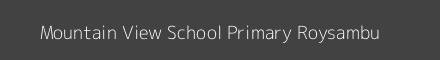 Mountain View School Primary Roysambu Image