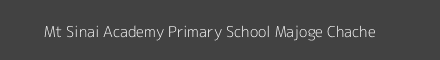 Mt Sinai Academy Primary School Majoge Chache Image