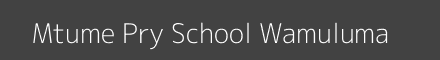 Mtume Pry School Wamuluma Image