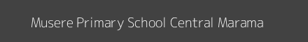 Musere Primary School Central Marama Image