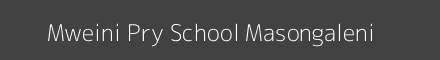 Mweini Pry School Masongaleni Image