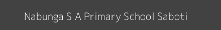 Nabunga S A Primary School Saboti Image