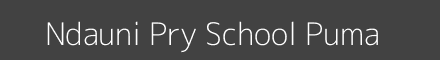 Ndauni Pry School Puma Image