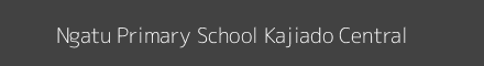 Ngatu Primary School Kajiado Central Image