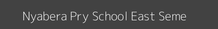 Nyabera Pry School East Seme Image
