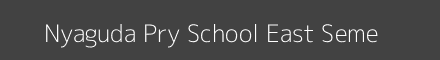 Nyaguda Pry School East Seme Image