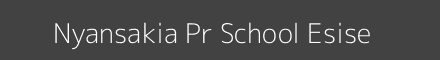 Nyansakia Pr School Esise Image