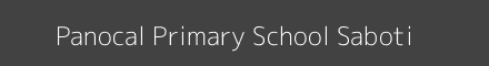 Panocal Primary School Saboti Image
