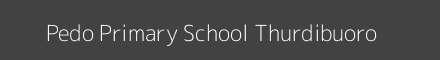Pedo Primary School Thurdibuoro Image