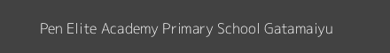 Pen Elite Academy Primary School Gatamaiyu Image