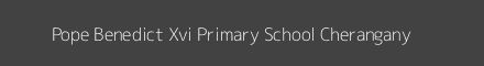 Pope Benedict Xvi Primary School Cherangany Image