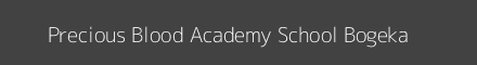 Precious Blood Academy School Bogeka Image