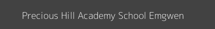 Precious Hill Academy School Emgwen Image