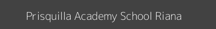 Prisquilla Academy School Riana Image