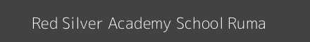 Red Silver Academy School Ruma Image