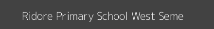 Ridore Primary School West Seme Image
