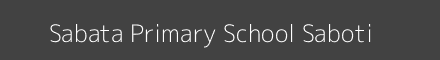 Sabata Primary School Saboti Image