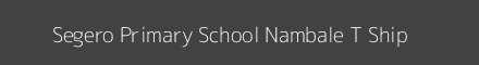 Segero Primary School Nambale T Ship Image