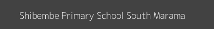 Shibembe Primary School South Marama Image