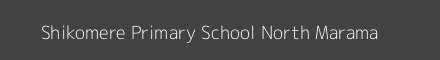 Shikomere Primary School North Marama Image