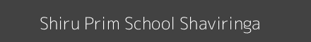 Shiru Prim School Shaviringa Image
