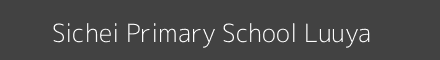 Sichei Primary School Luuya Image