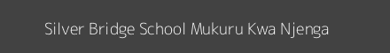 Silver Bridge School Mukuru Kwa Njenga Image